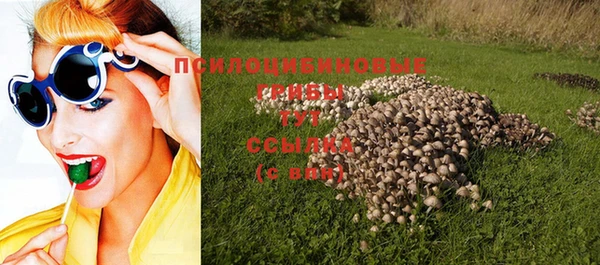 герыч Вязьма