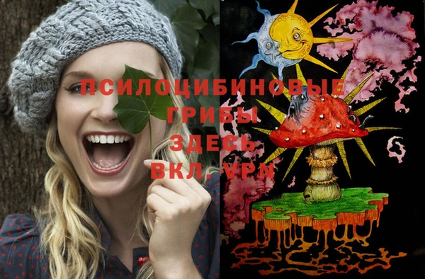 первитин Горнозаводск