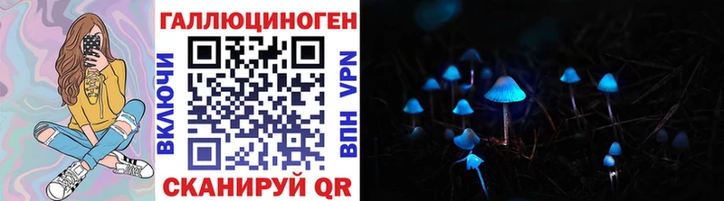 Галлюциногенные грибы Cubensis  даркнет формула  Заводоуковск 